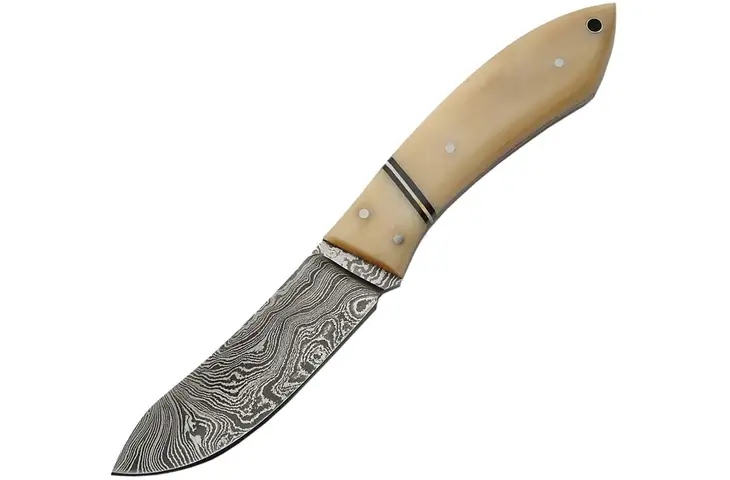 Damascus Damascus Skinner Fixed Blade Knife